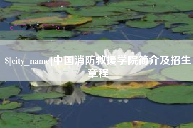 潜江中国消防救援学院简介及招生章程