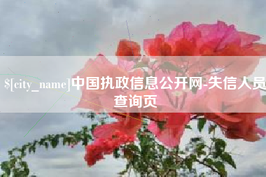 潜江中国执政信息公开网-失信人员查询页
