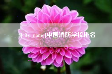 潜江中国消防学校排名