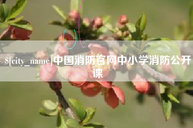 潜江中国消防官网中小学消防公开课