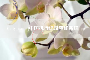 潜江中国执行记录查询系统app