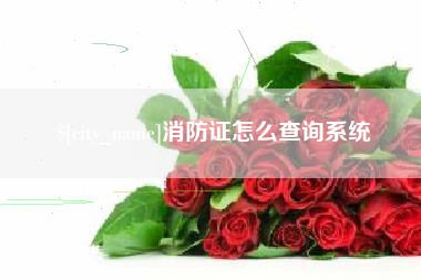 潜江消防证怎么查询系统