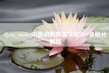 潜江中国消防救援学院2019录取分数线