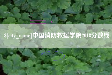 潜江中国消防救援学院2018分数线
