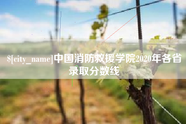 潜江中国消防救援学院2020年各省录取分数线