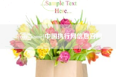 潜江中国执行网信息官网