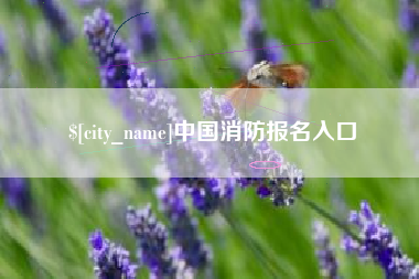 潜江中国消防报名入口