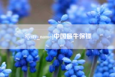 潜江中国最牛保镖
