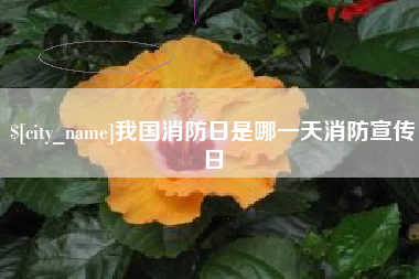 潜江我国消防日是哪一天消防宣传日