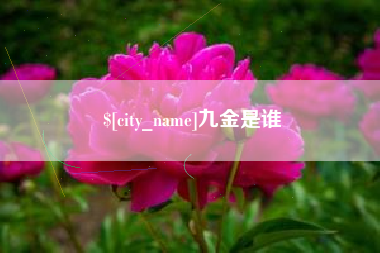 潜江九金是谁