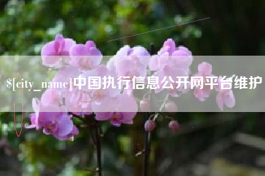 潜江中国执行信息公开网平台维护
