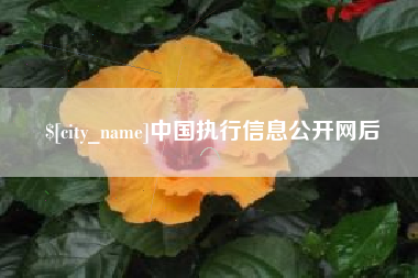 潜江中国执行信息公开网后