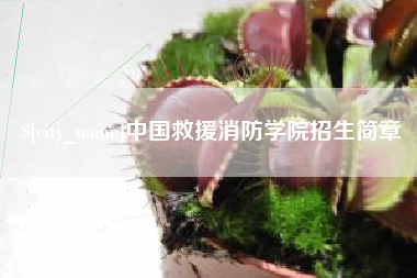 潜江中国救援消防学院招生简章