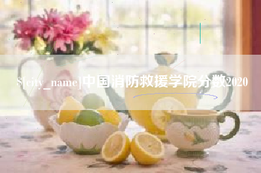 潜江中国消防救援学院分数2020