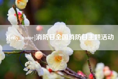 潜江消防日全国消防日主题活动