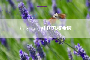 潜江中国九枚金牌