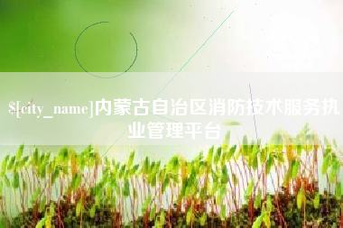 潜江内蒙古自治区消防技术服务执业管理平台