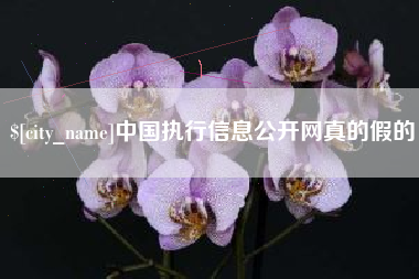 潜江中国执行信息公开网真的假的