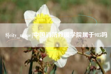 潜江中国消防救援学院属于985吗
