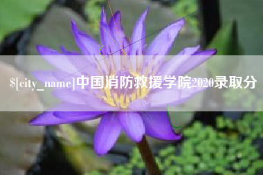 潜江中国消防救援学院2020录取分