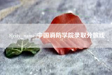 潜江中国消防学院录取分数线