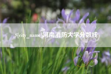 潜江河南消防大学分数线