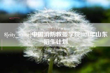 潜江中国消防救援学院2021年山东招生计划