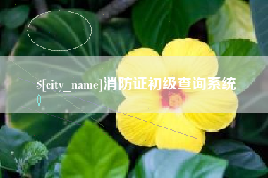 潜江消防证初级查询系统