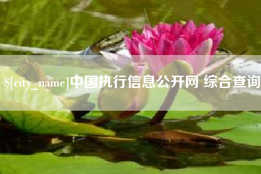 潜江中国执行信息公开网 综合查询