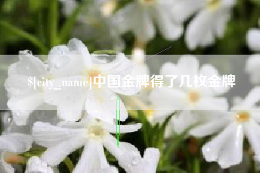潜江中国金牌得了几枚金牌