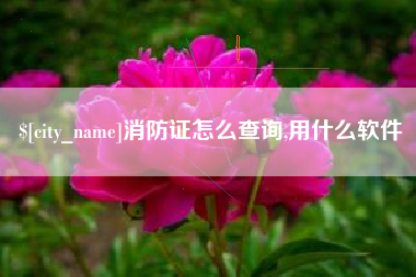 潜江消防证怎么查询,用什么软件