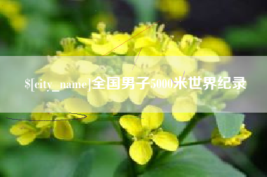 潜江全国男子5000米世界纪录