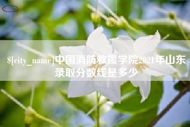 潜江中国消防救援学院2021年山东录取分数线是多少