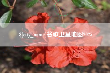 潜江谷歌卫星地图2025