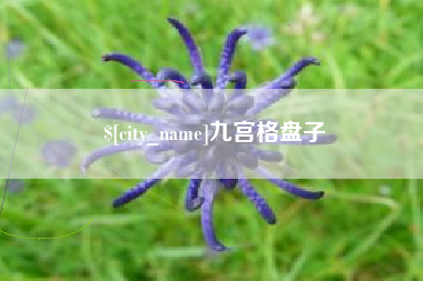 潜江九宫格盘子