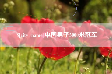 潜江中国男子5000米冠军