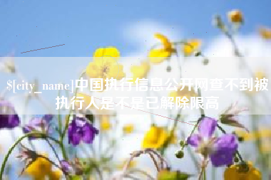 潜江中国执行信息公开网查不到被执行人是不是已解除限高