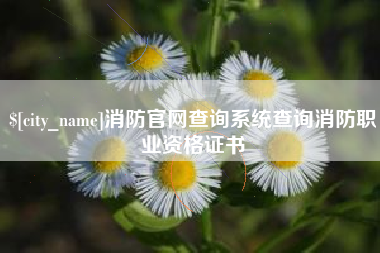 潜江消防官网查询系统查询消防职业资格证书