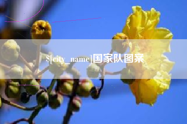 潜江国家队图案