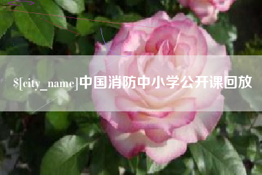 潜江中国消防中小学公开课回放
