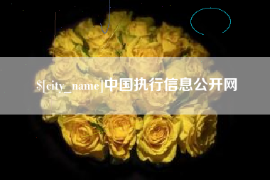 潜江中国执行信息公开网