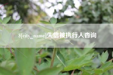 潜江失信被执行人杳询