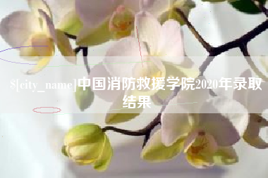 潜江中国消防救援学院2020年录取结果