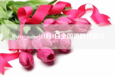 潜江11月9日全国消防日图片