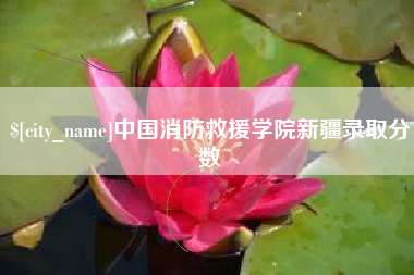 潜江中国消防救援学院新疆录取分数