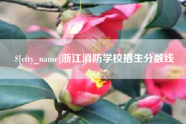 潜江浙江消防学校招生分数线