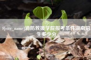 潜江消防救援学院报考条件湖南招生多少分
