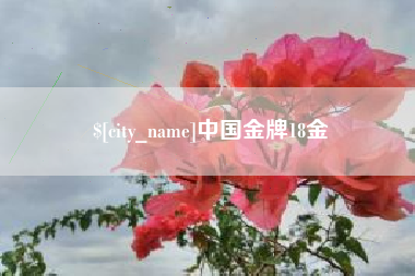 潜江中国金牌18金