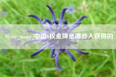 潜江中国6枚金牌是哪些人获得的