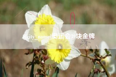 潜江奥运会39块金牌